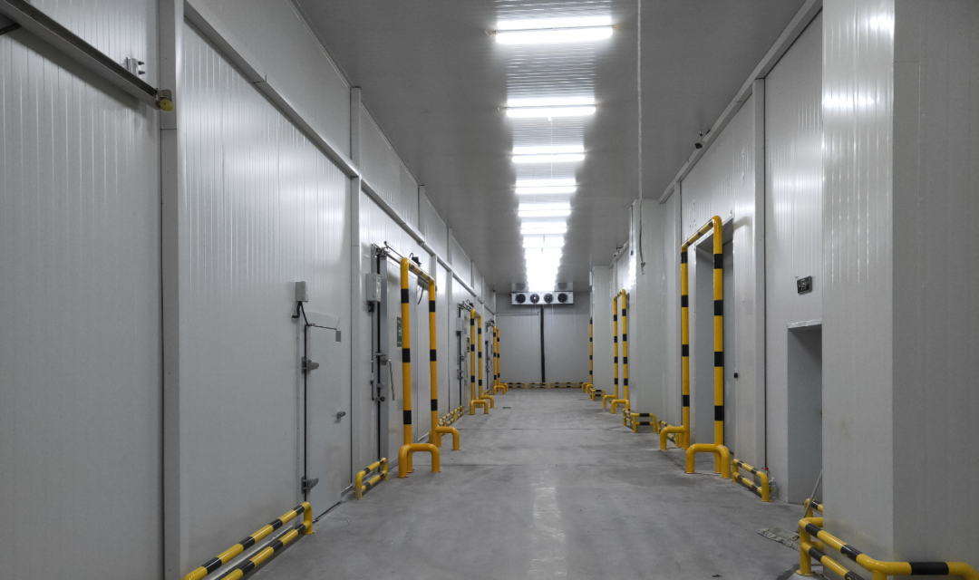 冷庫怎么節能？從這些方面入手